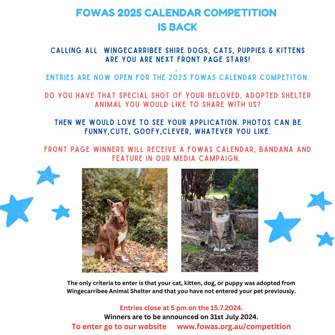 FOWAS CALENDAR COMPETITION 2025 2ST